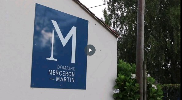 Domaine Merceron-Martin