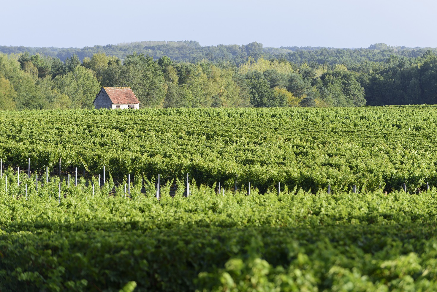 Master Class Touraine 2020